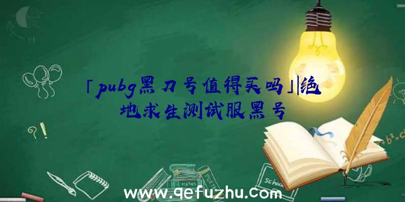 「pubg黑刀号值得买吗」|绝地求生测试服黑号